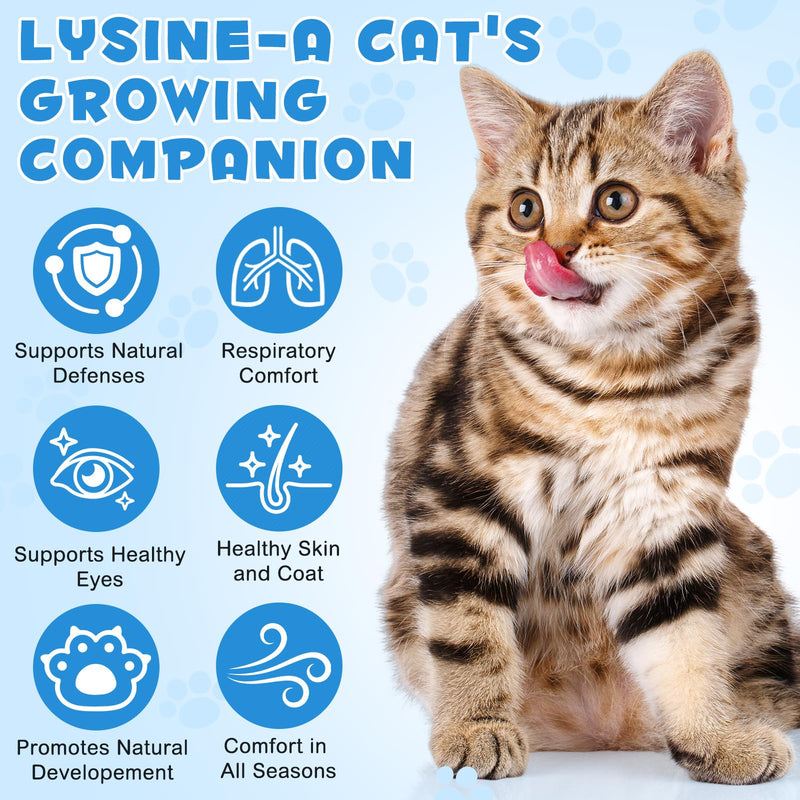 L-Lysine for Cats - Natural Immune Support & Respiratory Health Liquid Supplement with Vitamins & Echinacea - Chicken Flavour, Helps with Eye Care, Sneezing & Watery Eyes, 60ml Cat Drops
