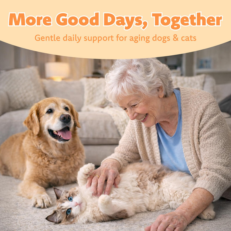 LOVITA Pets Senior Wellness Capsules for Dogs & Cats, with NMN, Resveratrol, Taurine, and PRALISUR Beta-Glucan, Daily Nutritional Support for Aging Pets, 60 Capsules