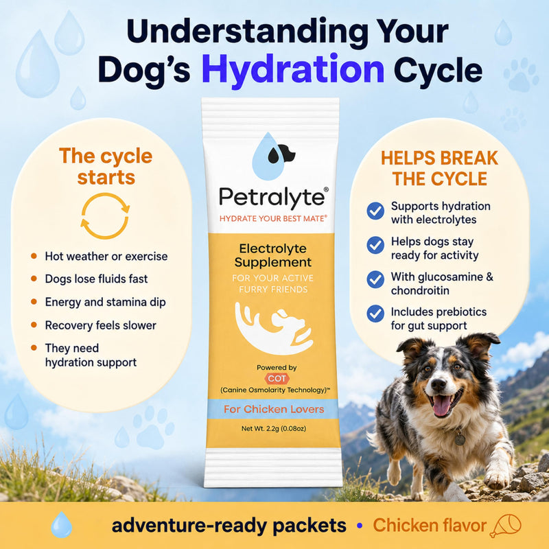 Petralyte Dog Electrolytes and Joint Supplement | Hydration Support for Dogs w/Glucosamine, Chondroitin & More | Electrolytes for Dogs with Prebiotics | for Chicken Lovers | 16 Packets 1-Pack (16 Packets)