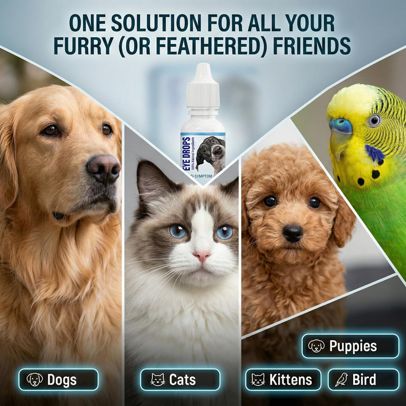 Dog Eye Drops for Infection 2Pack, Gentle Eye Drops for Dogs & Cats, Non-Irritating & Antiseptic Eye Drops to Remover Tear Stain for Pets 10 ml (Pack of 2)