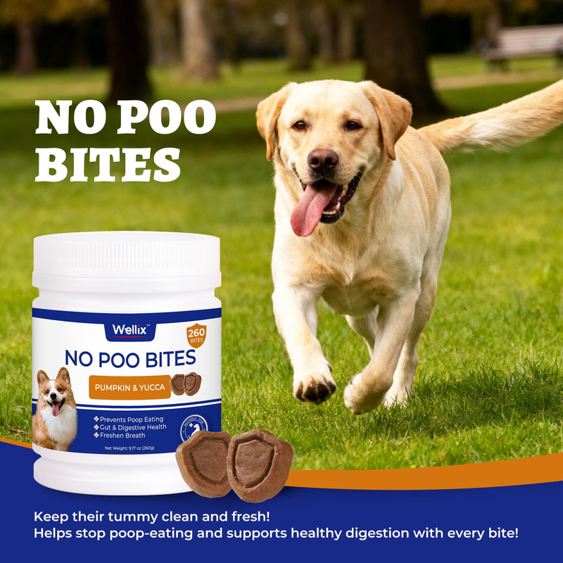 Wellix 260 Bites No Poo Chews for Dogs - Stool Eating Deterrent for Dogs Coprophagia Relief with Probiotics Digestive & Gut Health - Support Breath Freshener & Immune System, Chicken & Pumpkin Flavor