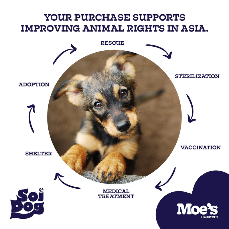 Moe's Glucosamine Dog Joint Supplement + Glucosamine, Chondroitin, Hyaluronic Acid, Vitamin C, E – Bone Health - Joint Pain Relief - Advanced Hip & Joint Care - 90 Chews - Made in USA – All Breeds - PawsPlanet Australia