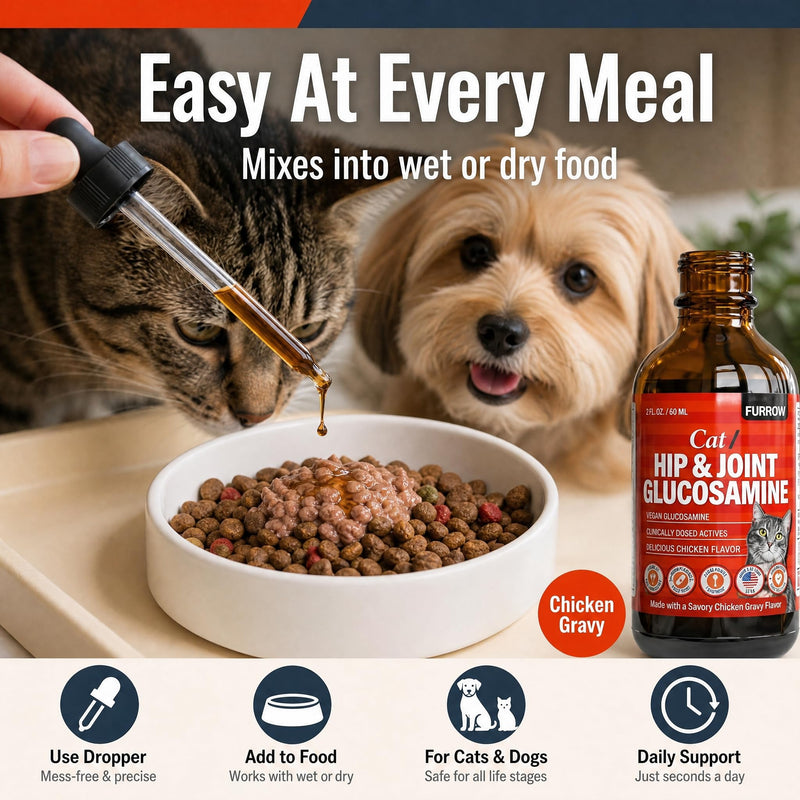 Furrow Liquid Glucosamine for Cats and Small Dogs — Hip & Joint Supplement with MSM, Chondroitin, Taurine & Hyaluronic Acid, Chicken Gravy Flavor — Joint Support for Pets Under 22 lbs
