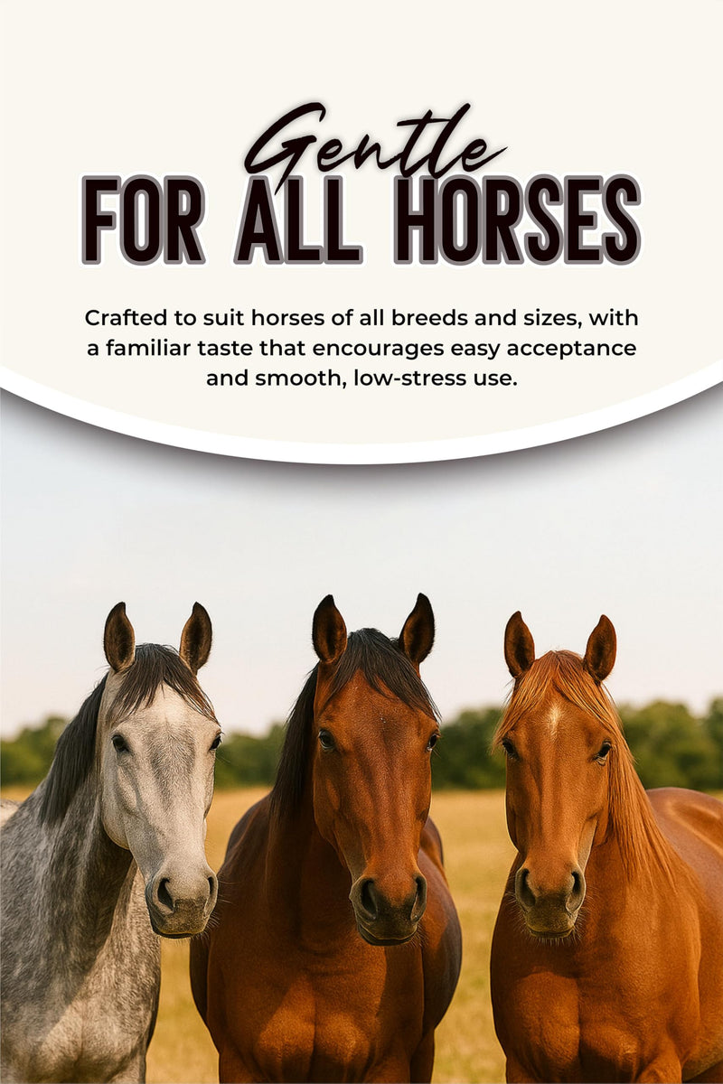 Horse Paste 1.87% – Apple Flavored Wormer – 6.08g Tube – Treats Up to 1250 lb 1 Count (Pack of 3)