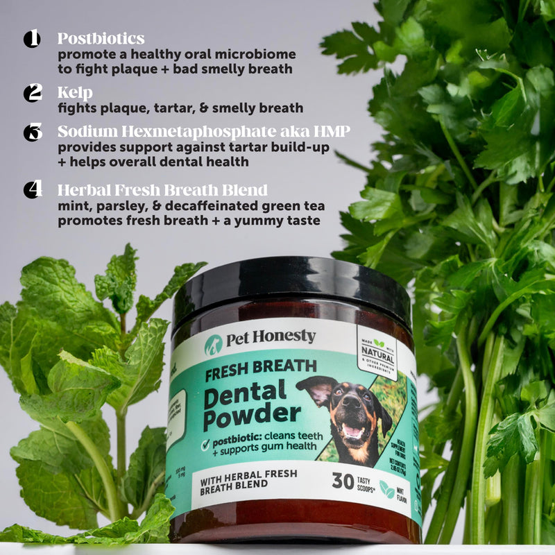 Pet Honesty Dog Dental Care Virtual Bundle – Mint Dental Powder 60 Servings + Fresh Sticks Oral Hygiene Chews 16 ct