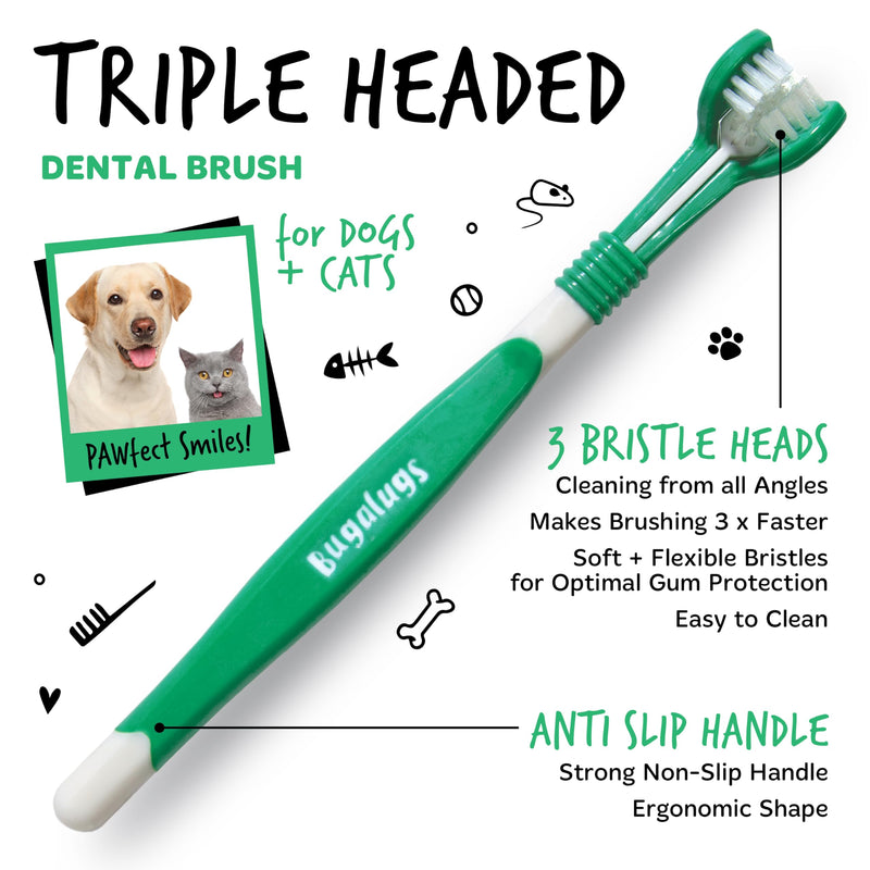 Bugalugs Dog and Cat Toothbrush and Paste Kit - Teeth Cleaning and Breath Freshener 1 count (Pack of 1)