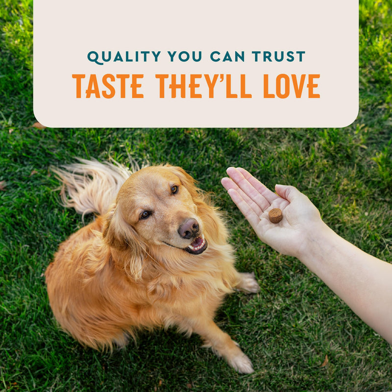 VetIQ Skin and Coat Supplement for Dogs, Helps Maintain Healthy Skin and Shiny Coat, Hickory Smoke Flavor Dog Chew, Made in The USA, 60 Count - BeesActive Australia