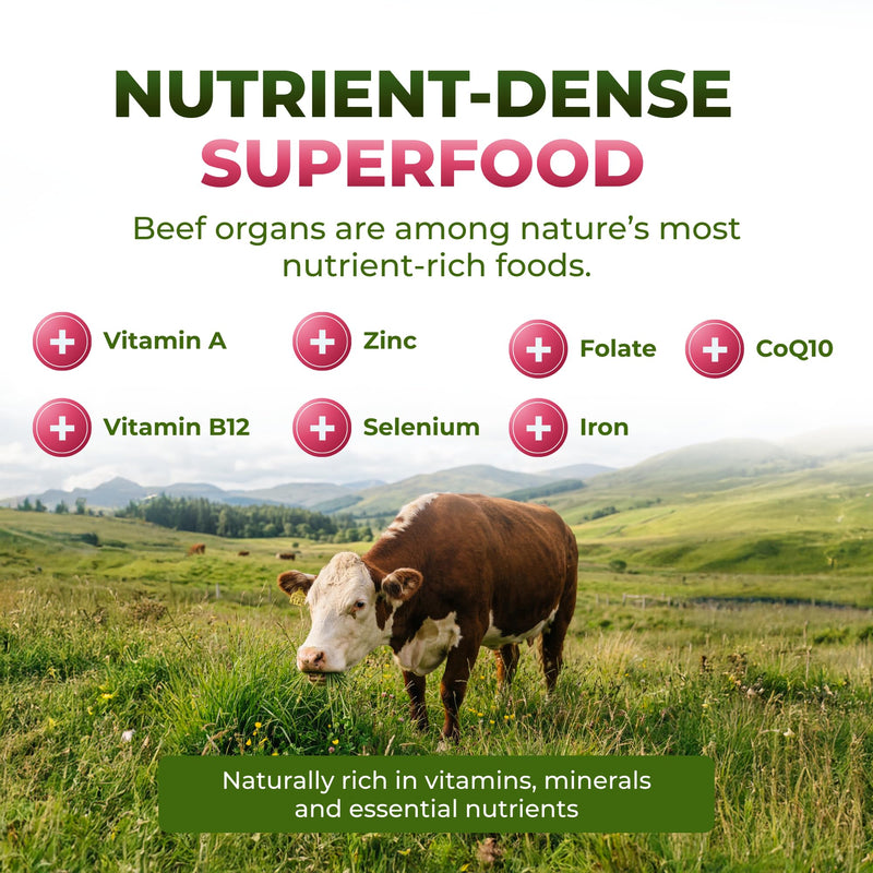 ForestLeaf Beef Organ Supplement for Women - Zero Fillers, Grass Fed Beef Organs Complex - 1200mg per Serving - Support Women's Energy & Overall Health - 120 Capsules Women’s Organ Complex