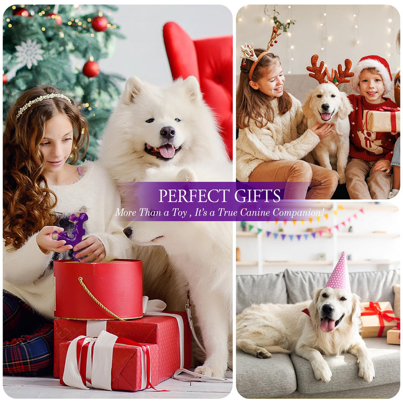 Tough Dog Toys for Aggressive Chewers 3 Pack Chew Toys for Large Dogs, Indestructible Dog Toy for Aggressive Chewers Large Breed, Dog Toys to Keep Them Busy Model 315 - BeesActive Australia