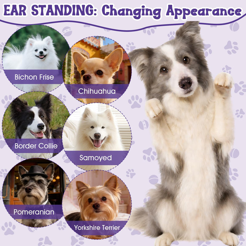 All-in-One Ear Posting Kit with Bonding Cement for Dogs, 4pcs Ear Tapes and 30ml Glue Remover for Doberman, Corgi, Yorkie Daily Care, Quick & Long-Lasting