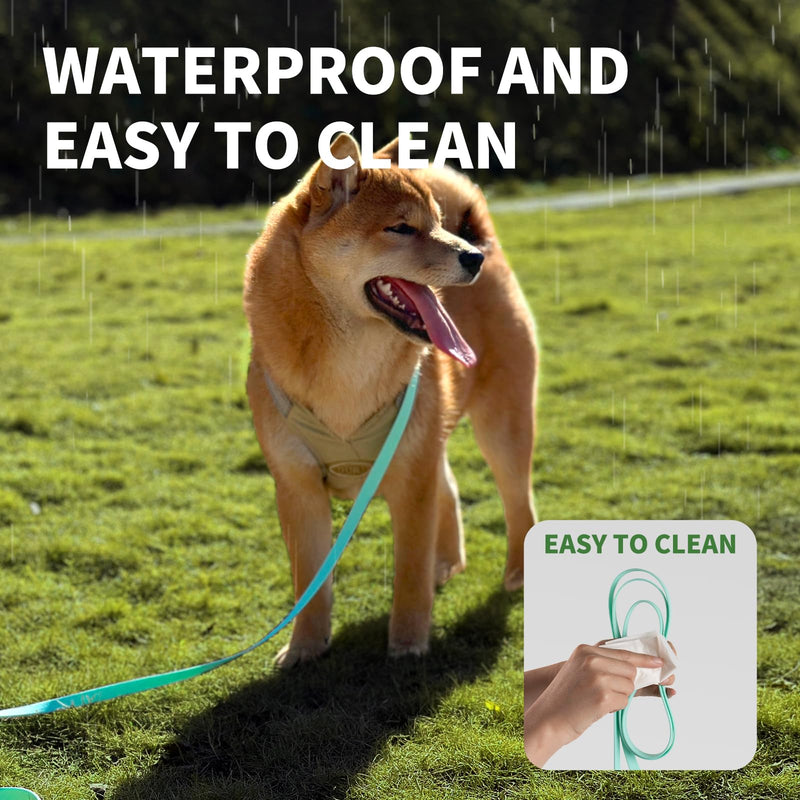 Dog Training Long Leash Waterproof Long Line Heavy Duty Outdoor Recall Lead 10ft 15ft 20ft 30ft 50ft for Small Medium Large Dog (20FT, Mint Green) - BeesActive Australia
