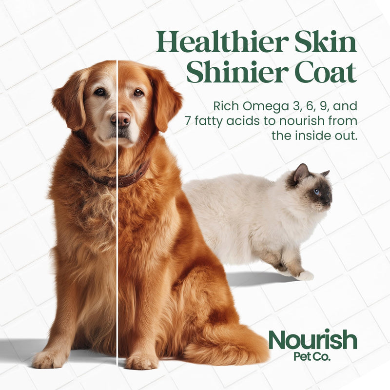Nourish Pet Co. Phytoplankton Omega & Multi for Dogs & Cats - The Ultimate Wholefood Supplement for Overall Health & Vitality