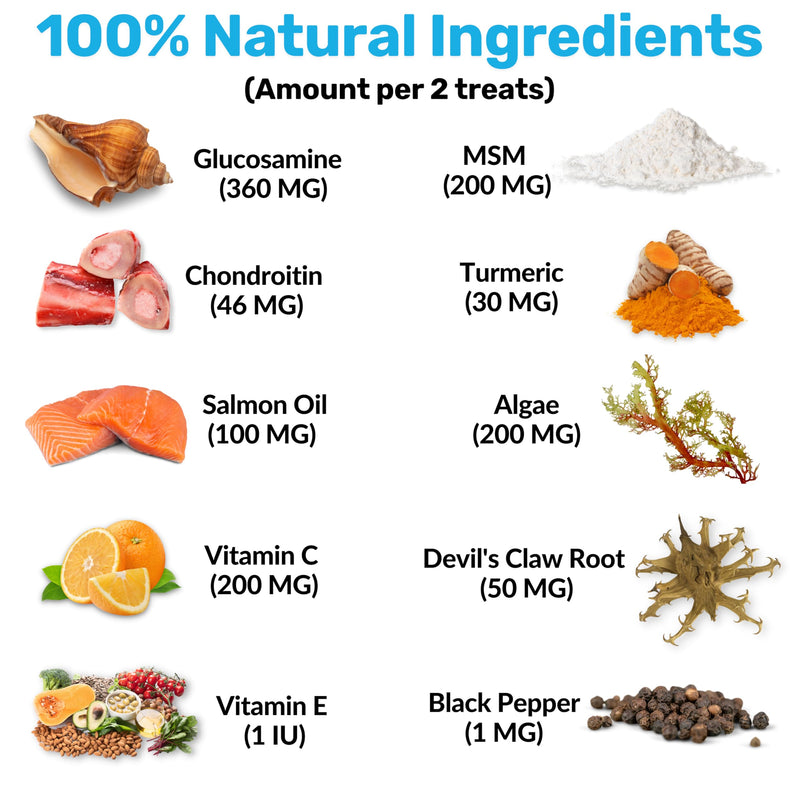 NutriPaw Joint & Hip Treats For Dogs - Stiffness, Strength, Mobility & Flexibility - Joint Supplement With Glucosamine, MSM, Chondroitin, Algae & Devils Claw - Perfect for Small, Medium & Large Dogs Single Pack
