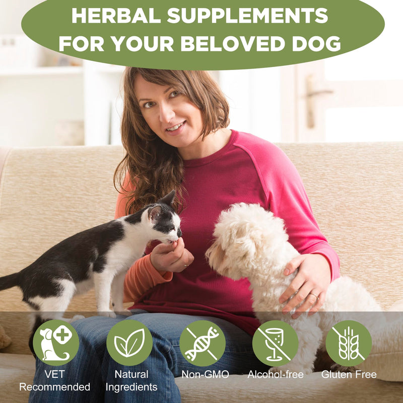 Seizure and Epilepsy Supplement, Nervous System Supplements for Dogs and Cats, Natural Herbal Help Relieve Anxiety, Involuntary Muscle Activity,Twitching and Drooling, Repetitive Strange Movements
