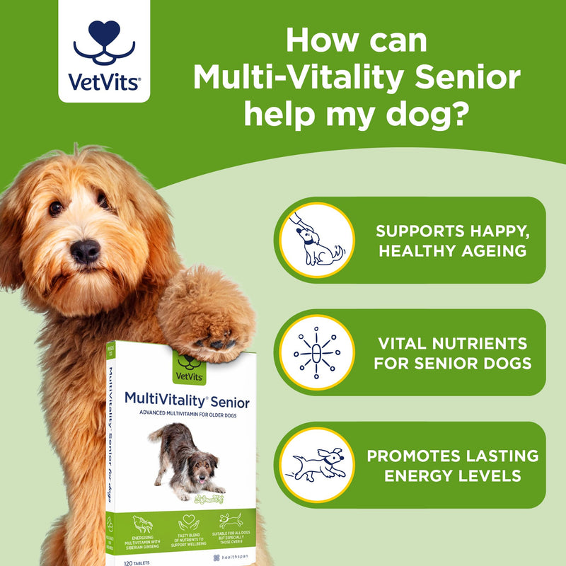 Multivitamin Senior (120 tablets) | Senior Advanced multivitamin for older dogs | Boosts energy and wellbeing | 15 essential nutrients | For energy, heart, joints and vitality