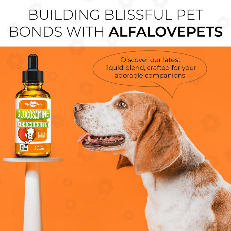 Dog Joint Supplement – Glucosamine Chondroitin for Dogs and Puppies – MSM in The Composition – Care for Joints, HIPS, Muscles, & Ligaments – Bacon Flavor – 2 Oz - PawsPlanet Australia