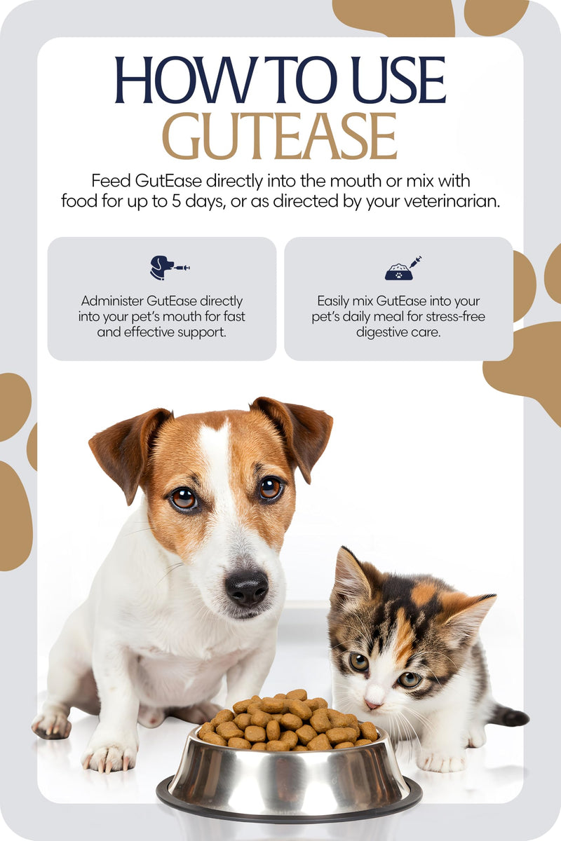 Equinavia GutEase Digestive Support Paste for Dogs & Cats – with Probiotics, Prebiotics, Glutamine, and Pectin – Easy Oral Supplement in 15ml or 30ml Syringe - 1 oz (30 ml) - 1 oz 1 oz (30 ml)