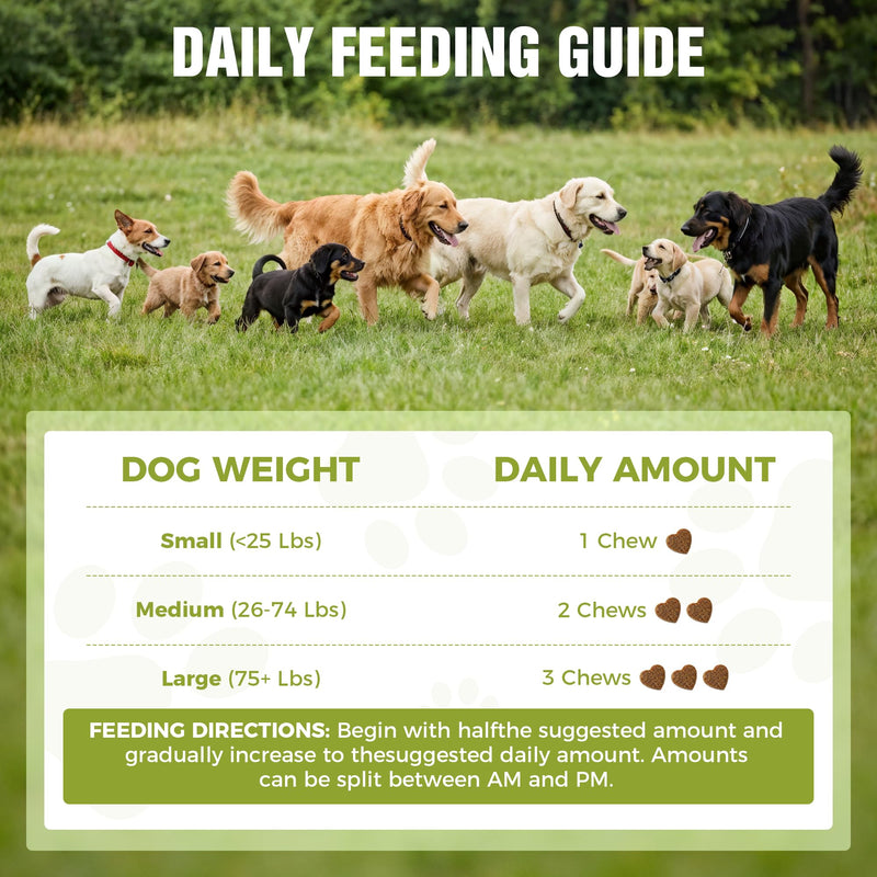 Probiotics for Dogs – 2 Billion CFU Gut & Digestive Health Chews, Relieves Diarrhea, Gas & Loose Stool, 6 Strains Including Bacillus Subtilis with Prebiotics, Soft Chews for Immune & Allergy Support 120 Soft Chews