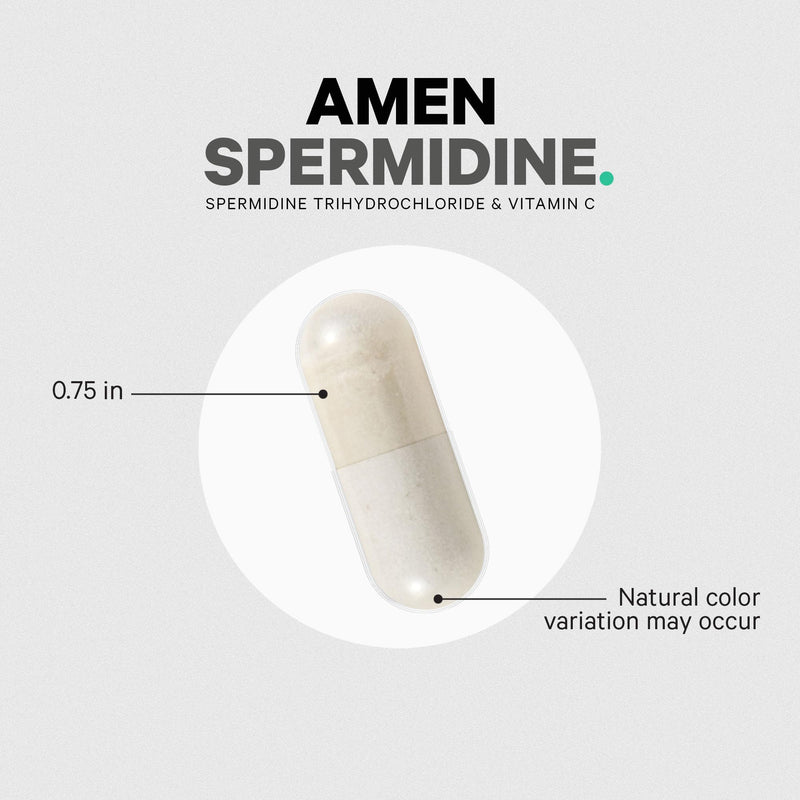 Amen Spermidine, Trihydrochloride, Vitamin C, Vegan, 30 Capsules | Spermidine 10 mg with vitamin C, one capsule per serving. Gluten-free, vegan, non-GMO.