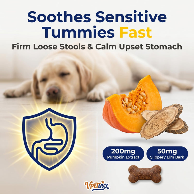 Advanced Dog Gut & Immune Support - Probiotics for Dogs Upset Stomach & Gas Relief with Pumpkin, Slippery Elm,Colostrum & Digestive Enzymes, Duck Flavor