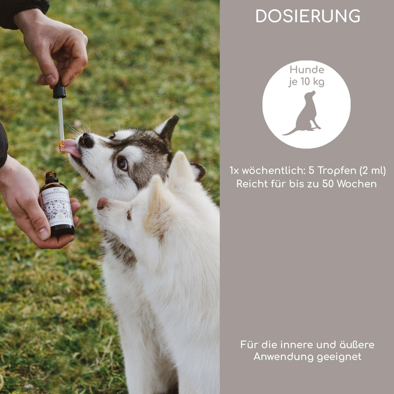 Organic black cumin oil for dogs 100ml - cold pressed 100% organic farming, in glass bottle with glass pipette - pure Egyptian black cumin oil (Nigell Sativa) DE-ÖKO-060 - BeesActive Australia