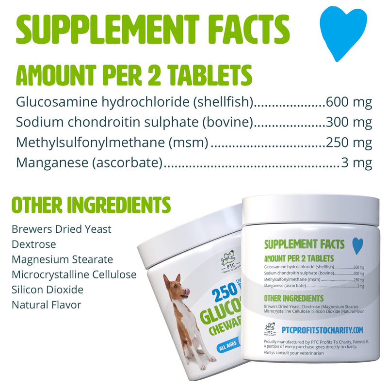 Glucosamine for Dogs with Chondroitin and MSM -Hip and Joint Supplement for Dog Mobility Support and Arthritis Pain Relief - 250 Chewable Tablet Treats 250 Count (Pack of 1)