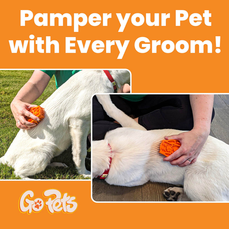 GoPets Curry Comb Bath Brush for Cleaning & Grooming, Silicone Shampoo Scrubber for Shedding & Massage, Pet Bath Supplies for Long & Short Hair Dogs & Cats - BeesActive Australia