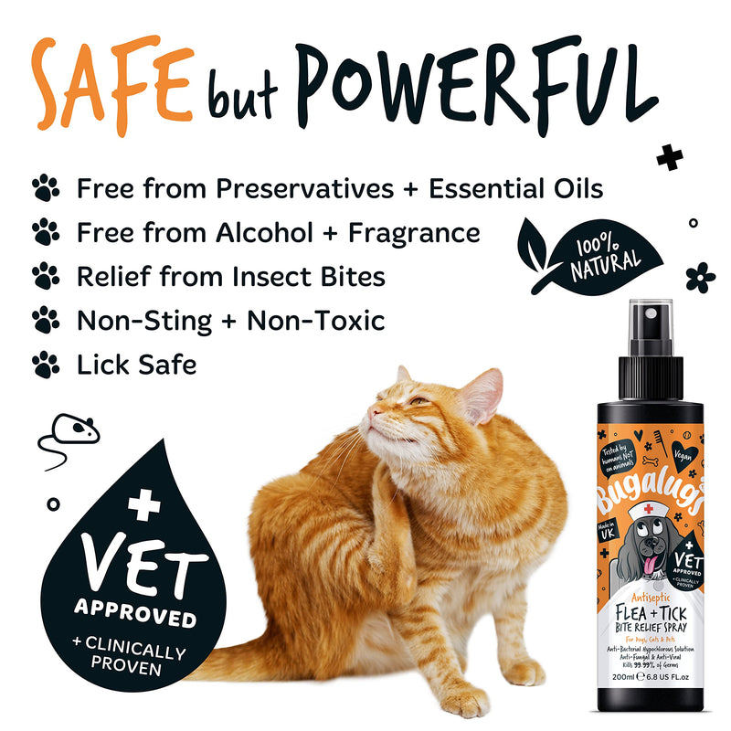 BUGALUGS Insect Bite Relief Antiseptic spray for dogs 200ml, puppy, cats & pets - Dog grooming Antibacterial, Antifungal for dog itchy skin relief - use alongside our flea shampoo for dogs