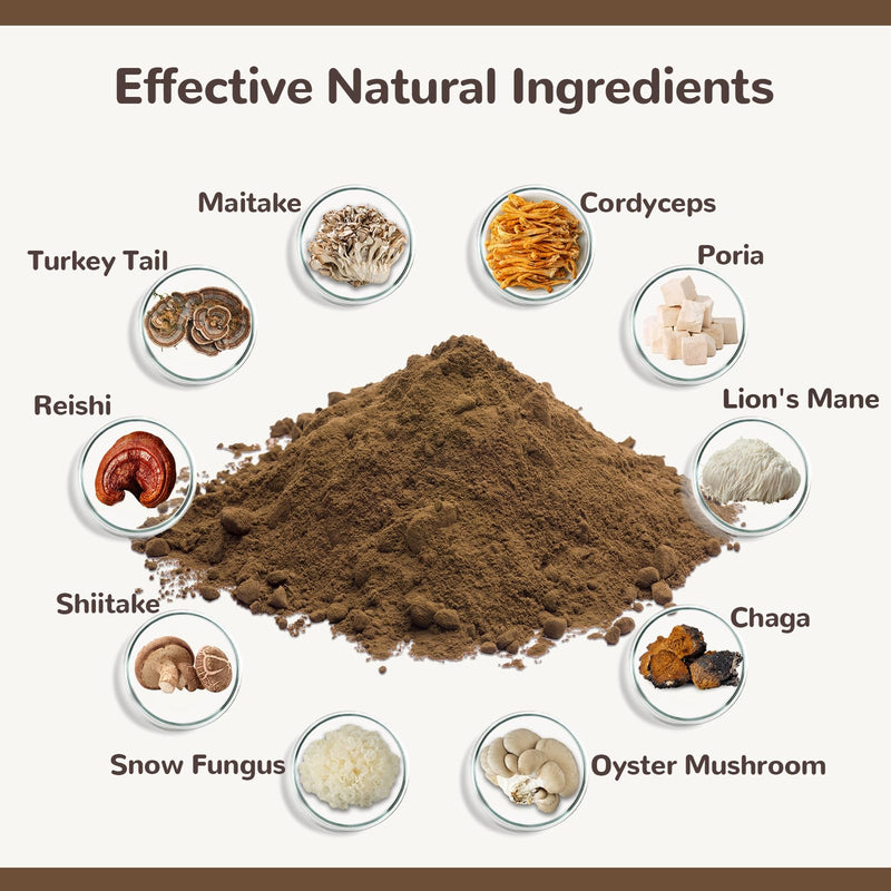 60g Turkey Tail Mushroom for Dogs and 150PCS Dog Teeth Cleaning Chews