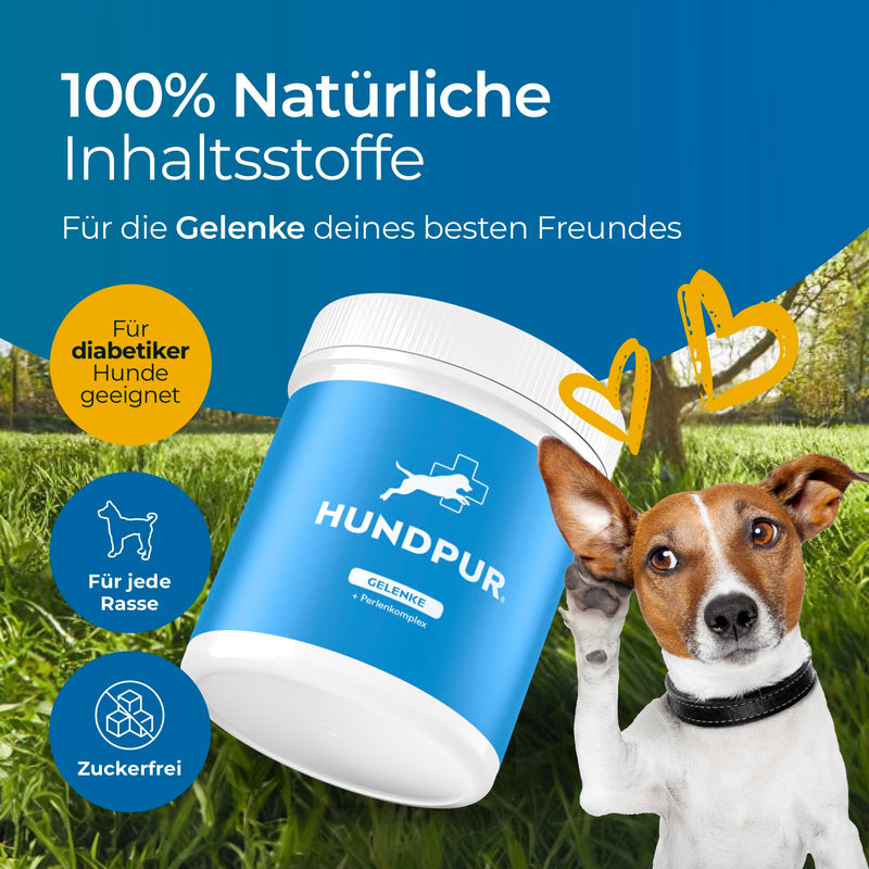 Hundpur Joints 300g - Supplementary food to support joint metabolism in osteoarthritis - With green-lipped mussel, glucosamine & MSM - BeesActive Australia