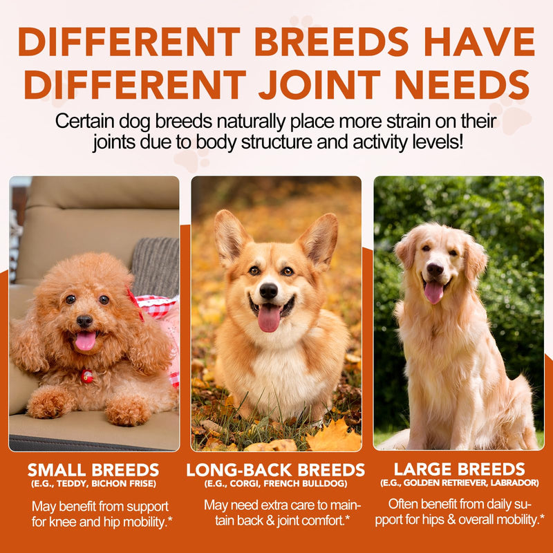 Hip and Joint Supplement for Dog, 120 Soft Chews with Glucosamine, Chondroitin & MSM for Joint Health & Flexibility, Tablets for Senior Dogs & Puppies - Duck Flavor