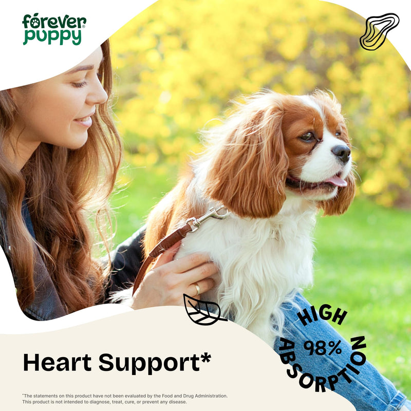 Forever Puppy Cardio Drops for Dogs - Hawthorn Berry & Motherwort Herb - Liquid Antioxidant Supplement with Gotu Kola Leaves & Lavender Extract - 2 fl oz