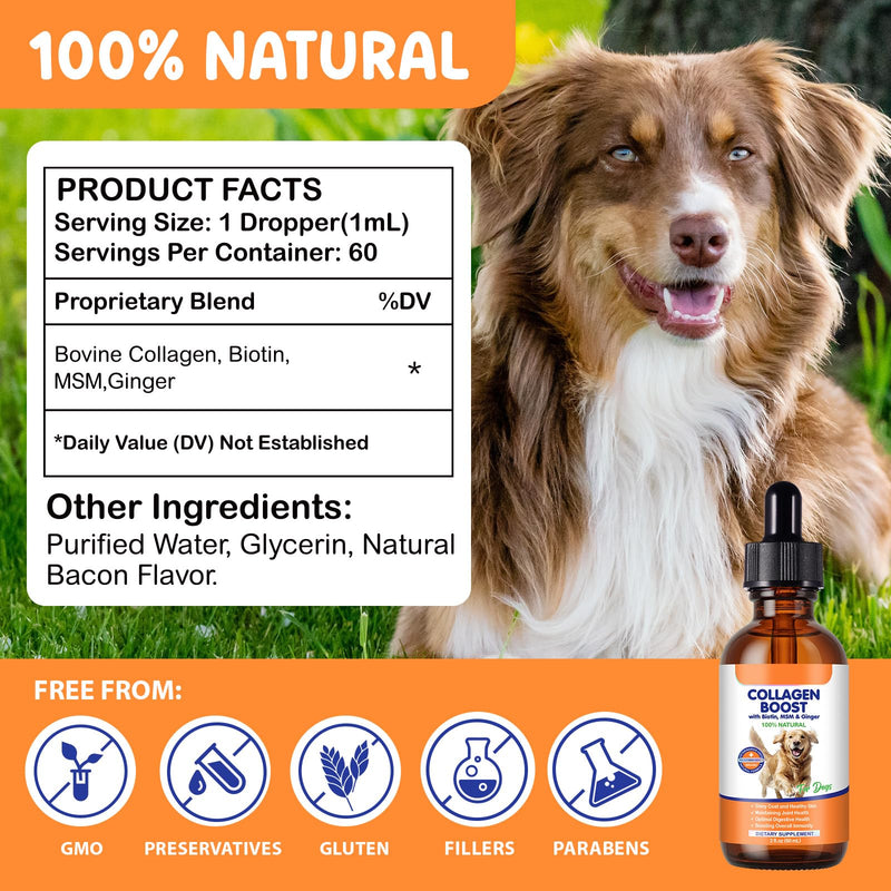 Liquid Collagen Supplement for Dogs – with Biotin, MSM & Ginger – Supports Joint Health, Skin & Coat, Digestion & Immunity – 2 fl oz (60 ml)