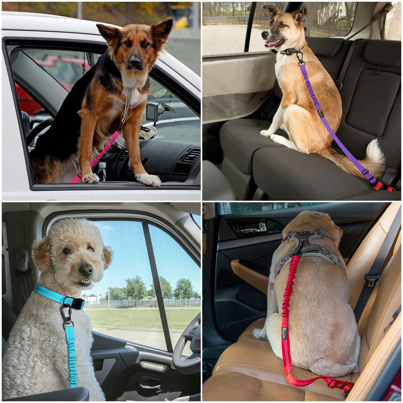Plutus Pet Dog Seat Belt for Car, Adjustable Dog Car Harness with Carabiner Clip, Reflective Safety Dog Seatbelt Leash with Elastic Bungee, Orange - BeesActive Australia