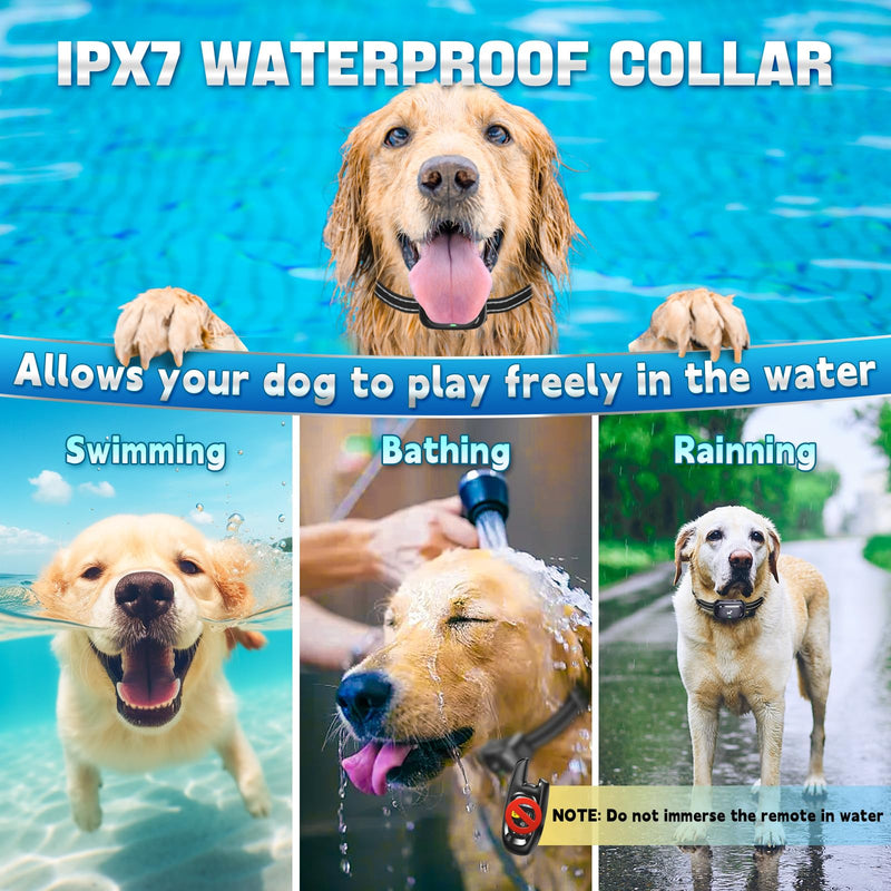 Dog Shock Collar - [2025 Newly Upgraded] Dog Training Collar with Remote, IPX7 Waterproof Electric Collar with Unique Shock-Lock, Rechargeable E-Collar for Small Medium Large Dogs All Breeds Black 1-PACK - BeesActive Australia