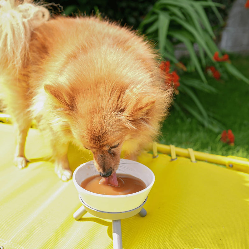 DoggyRade Duck Prebiotic Drinks For Dogs 250ml - Prebiotics For Digestive Support - Electrolytes For Optimum Hydration