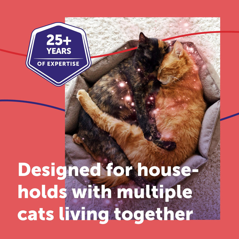 FELIWAY Friends 30 Day Cat Calming Plug In Pheromone Diffuser Starter Kit, 48ml - Helps create harmony and resolve conflict in multi cat households, Veterinary Recommended, Clinically Proven 48 ml (Pack of 1)