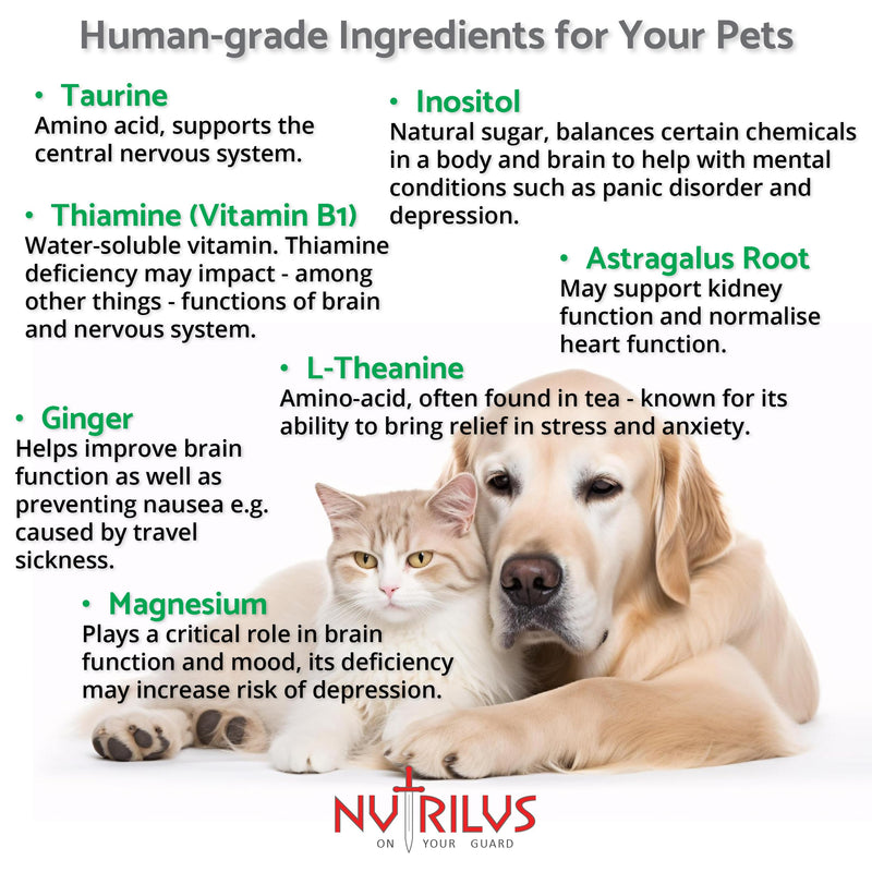 Calming Tablets for Dogs And Cats - 120 Tablets Chicken Flavour for Pets - Separation - Restlessness - Loud Sounds - Stress - Anxiety - Travel