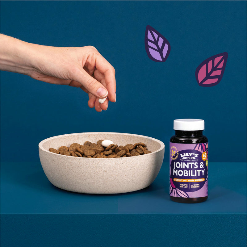 Lily's Kitchen Joints & Mobility Supplements for Adult Dogs & Senior Dogs, 60 Tablets – Made with Natural Ingredients, Glucosamine, Chondroitin & Green Lipped Mussel Powder One Size