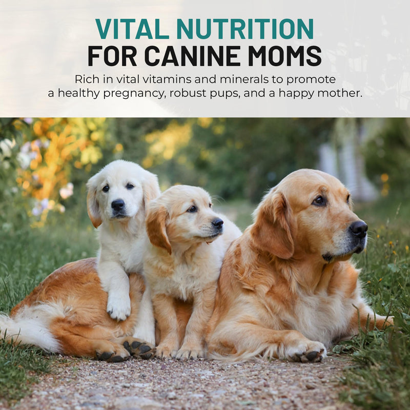 Dog Vitamins and Supplements - Chewable Dog Prenatal Vitamins for Large and Small Breed - Multivitamin Supplement for Health Support and Development - 120 Soft Chews