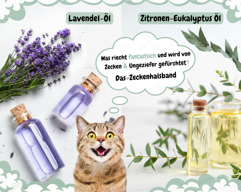 tooSimple The tick collar for cats 100% vegetable premium oil Effective protection against ticks, fleas, mosquitoes, lice, vermin - 8 months duration of effect - BeesActive Australia