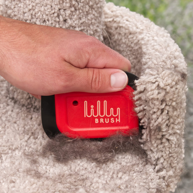 Lilly Brush Mini Pet Hair Detailer | Reusable Fur Remover for Car Interior, Carpet, Couch & Furniture - BeesActive Australia