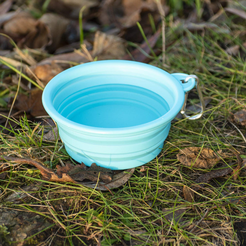 Made Easy Kit Portable Collapsible Dog Bowl for Water or Food great Pet Travel Bowl in multiple sizes (Standard - 12oz, Teal) Standard 12oz - BeesActive Australia