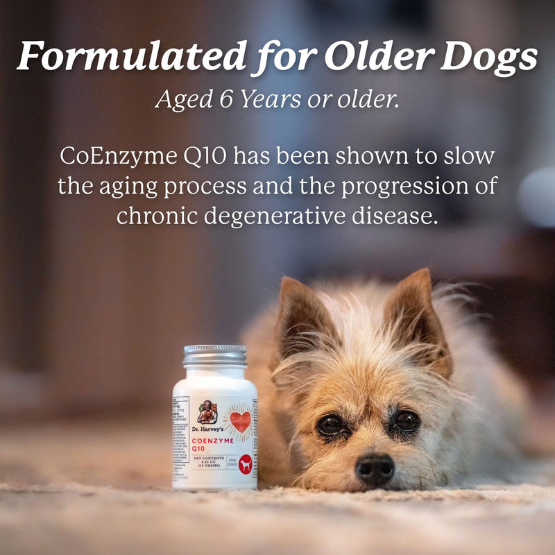 Dr. Harvey's Coenzyme Q10 - Heart & Cardiovascular Support Supplements for Dogs, 60 Capsules - BeesActive Australia