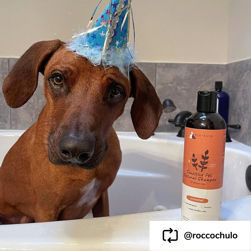 Oatmeal Shampoo for Dogs and Cats by kin+kind - Cat & Dog Shampoo for Sensitive Skin with Colloidal Oatmeal - Safe, Natural Formula with Olive Oil and Coconut Oil (12 fl oz) - Made in USA Unscented - BeesActive Australia