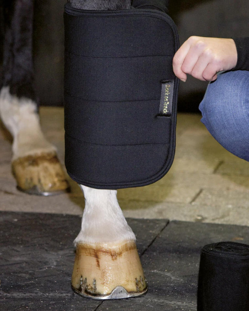 Back on Track Therapeutic No Bow Leg Wraps 12 Inch - BeesActive Australia