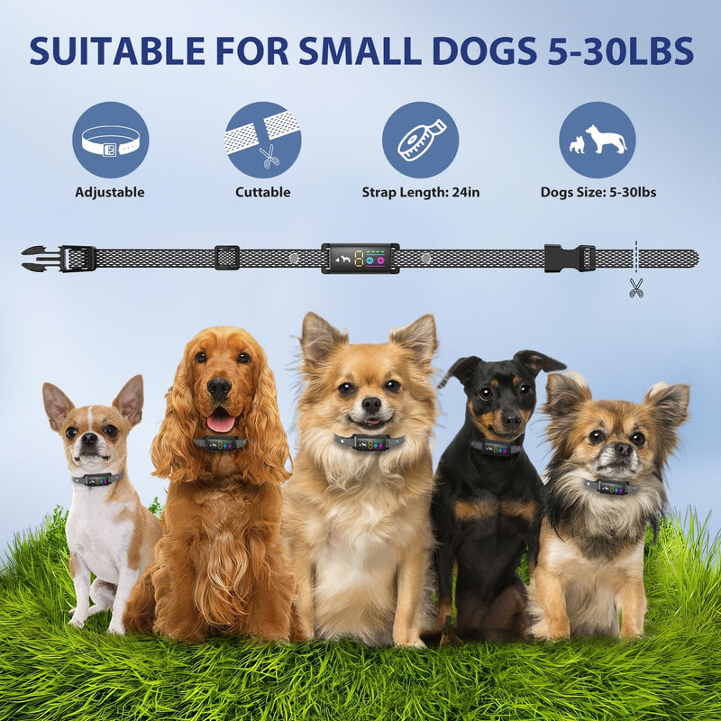 Anti-Bark Collar for Small Dogs, No Shock Bark Collar with Beep & Vibration Only, 1-5 Sensitivities Adjustable, Rechargeable Dog Barking Collar, IP67 Waterproof - Humane Bark Collars, Black - BeesActive Australia