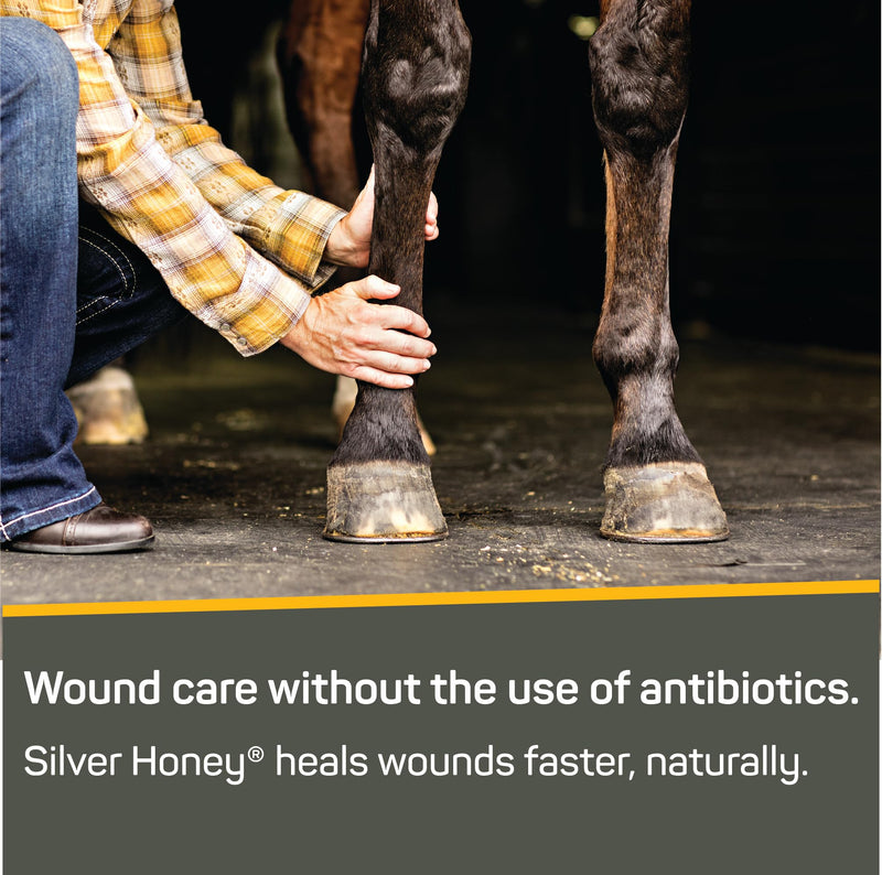 Absorbine Silver Honey Rapid Wound Repair Ointment 2oz Tube, Manuka Honey + MicroSilver BG, Horse & Large Animal Wound Care