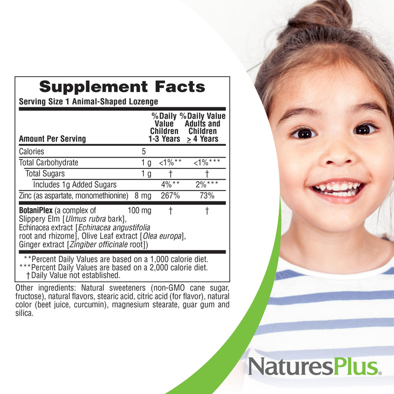 NaturesPlus Animal Parade KidZinc, Tangerine Flavor - 90 Animal-Shaped Lozenges - Organically Chelated Zinc - Vegan, Gluten Free - 90 Servings
