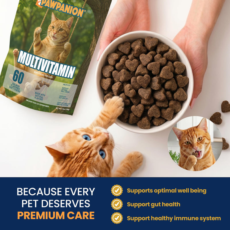 Multivitamin Soft Chews for Cats, Daily Vitamins & Immune Support, Joint Skin Gut Health Formula, Probiotics + Omega + Vitamins, 60 Soft Chews Salmon Flavor Multivitamin